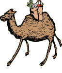 camel grocer